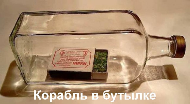 Просто юмор 7
