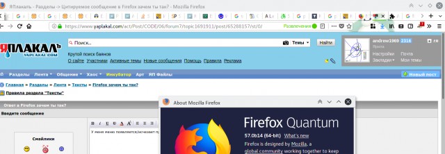 Firefox зачем ты так?