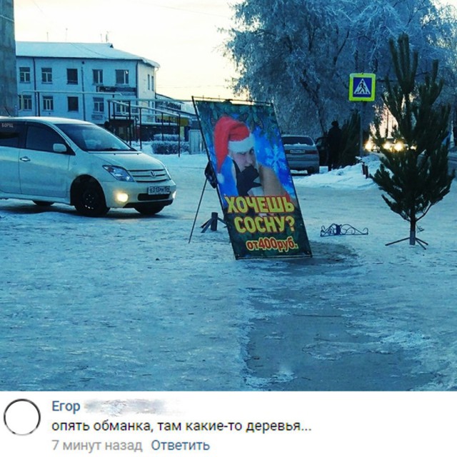 Смешные комментарии и картинки на новогоднюю и околоновогоднюю тематику. Часть 3