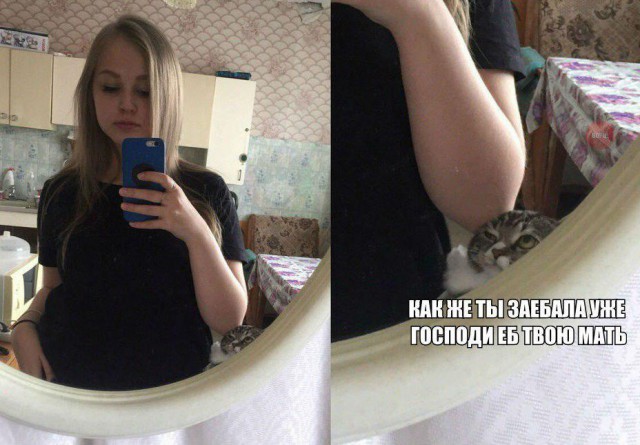 Нестандартный юмор