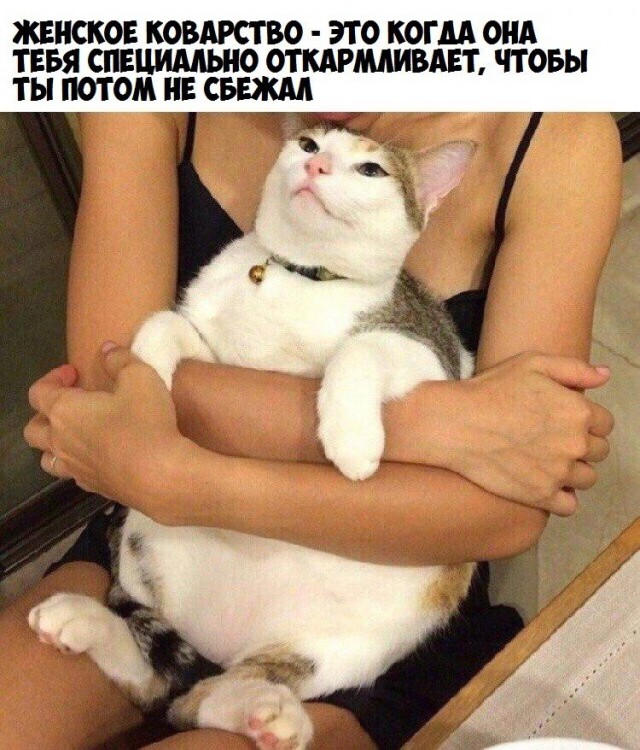 Немного милоты