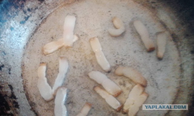 Кулинария для начинающих