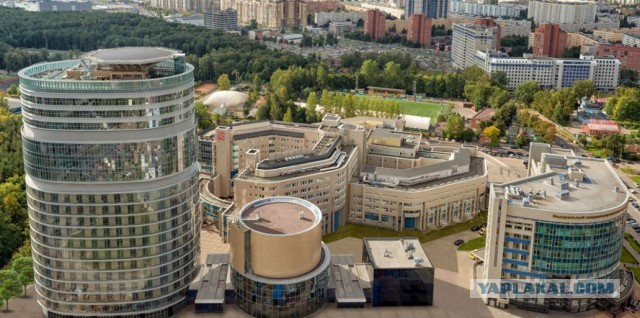 Ученая и инвестор. Как старшая дочь Путина делает первые шаги в бизнесе