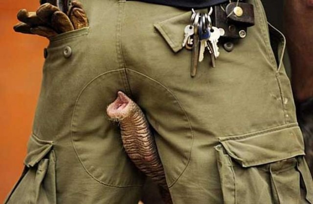 WTF: что тут происходит?