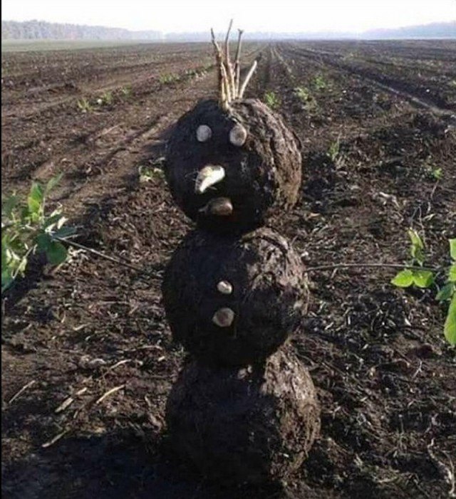 Эти "милые" снеговики