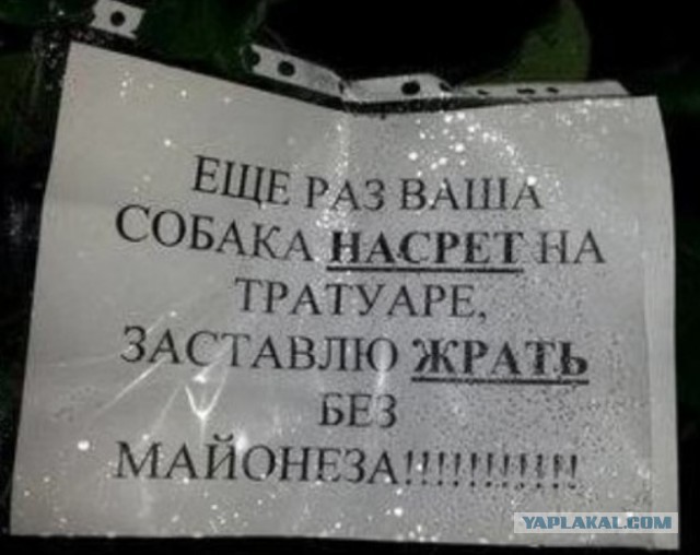 Так себе картинки 07.05.20