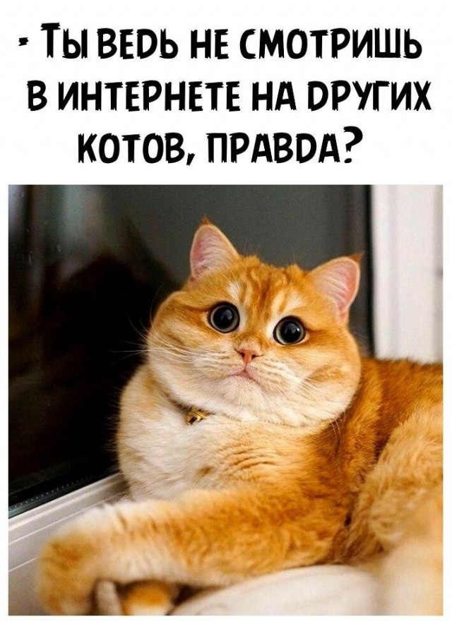Веселые истории о нас 149