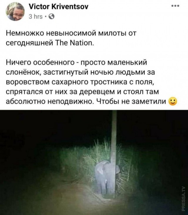 Картинки и мемы для настроения 007