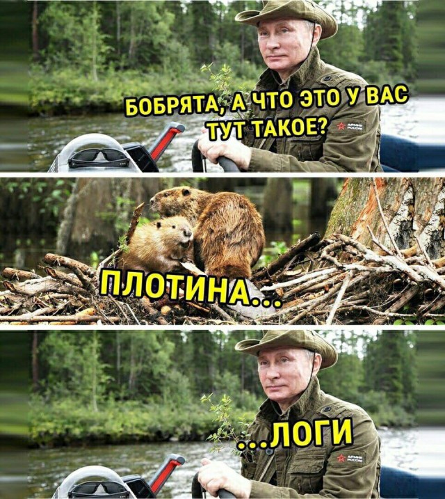 Товарищ Мишустин, тут вопрос по налогам