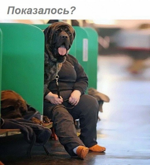Картинки с надписями и всякие жизненные фразы 16.1.21