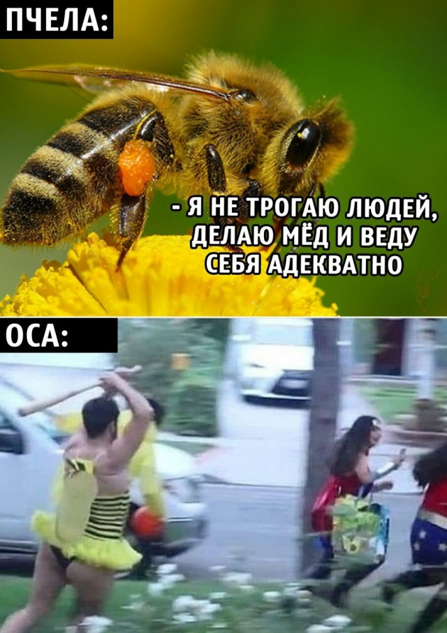 Мадам и месье бонжур