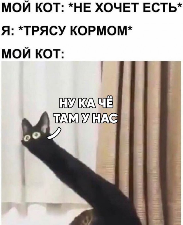 Картинки и мемы для настроения 27.04.2021