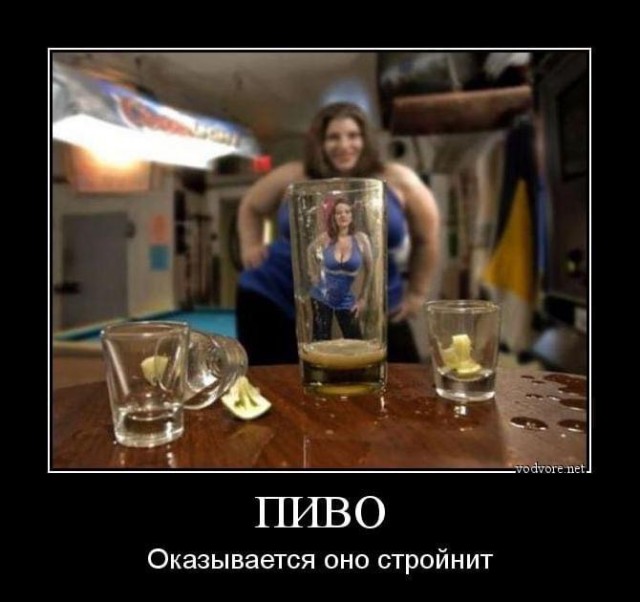 Алкопост выходного дня