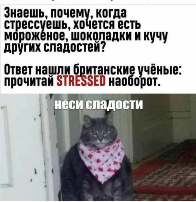 Всяческие картинки 16.06.2021
