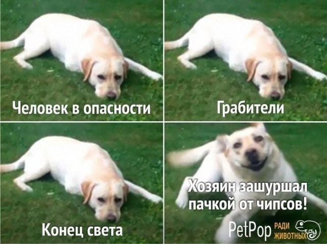 Картинки и мемы для настроения 17.06.2021