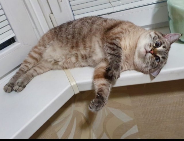 Нет, ну ты не понимаешь, что-ли?!