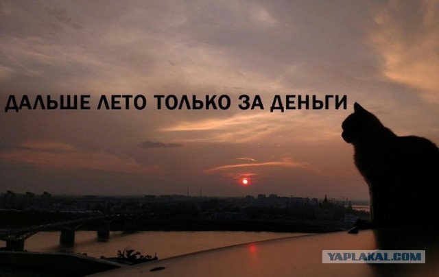Весёлый полтишок 3.09