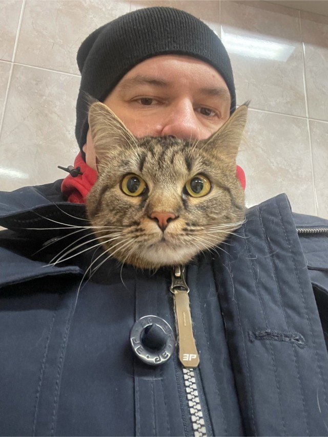 Котовторник 05.10.21 г