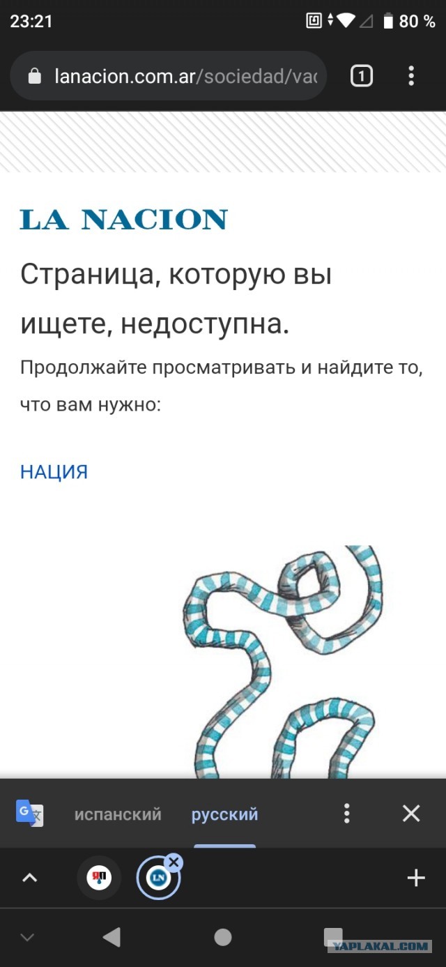 Обязательная вакцинация от COVID-19 для части населения введена по всей России