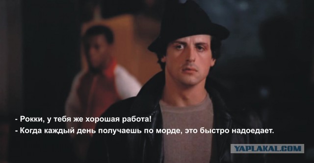 В этом видео вся жизнь