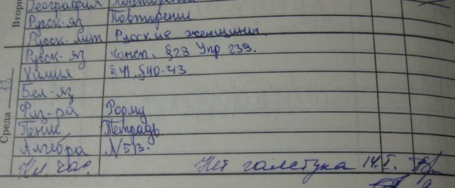 Дневник школьный, обыкновенный