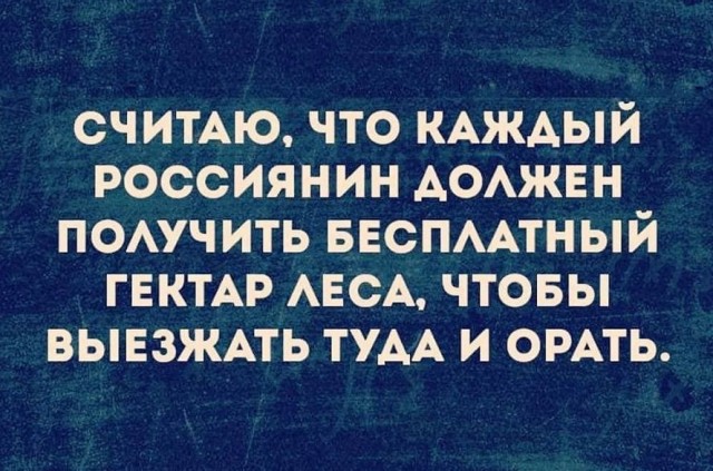 Так себе картинки 12.12.21