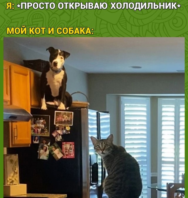 Так себе картинки 17.12.2021