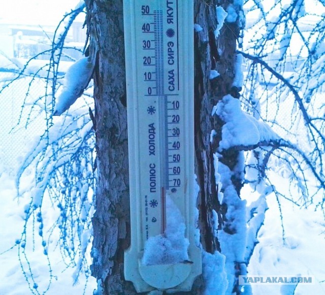 Делаем теплый двор