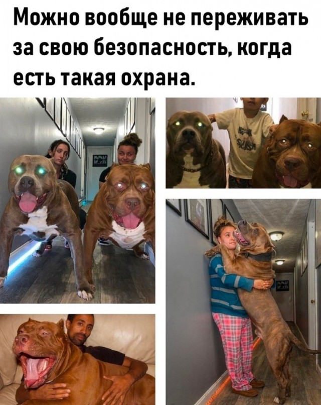 Так себе картинки 01.04.22