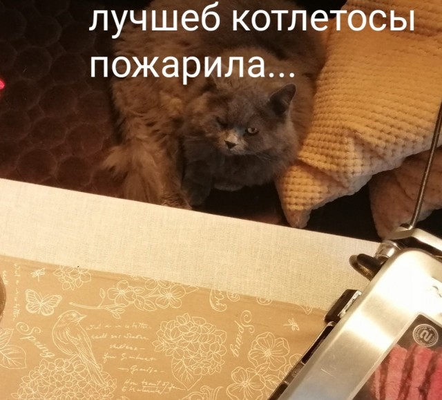 Семейный бюджет. Циничный женский обман