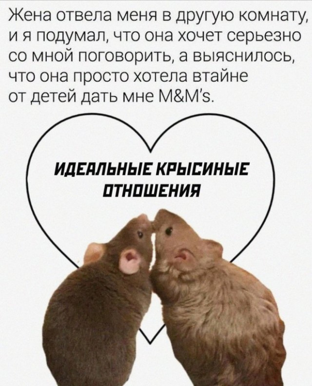Картинки и мемы для настроения. Выходные скоро