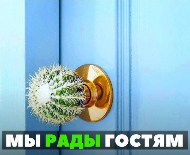 Краснодар: пробки, хамы, вечная вонь и духота.