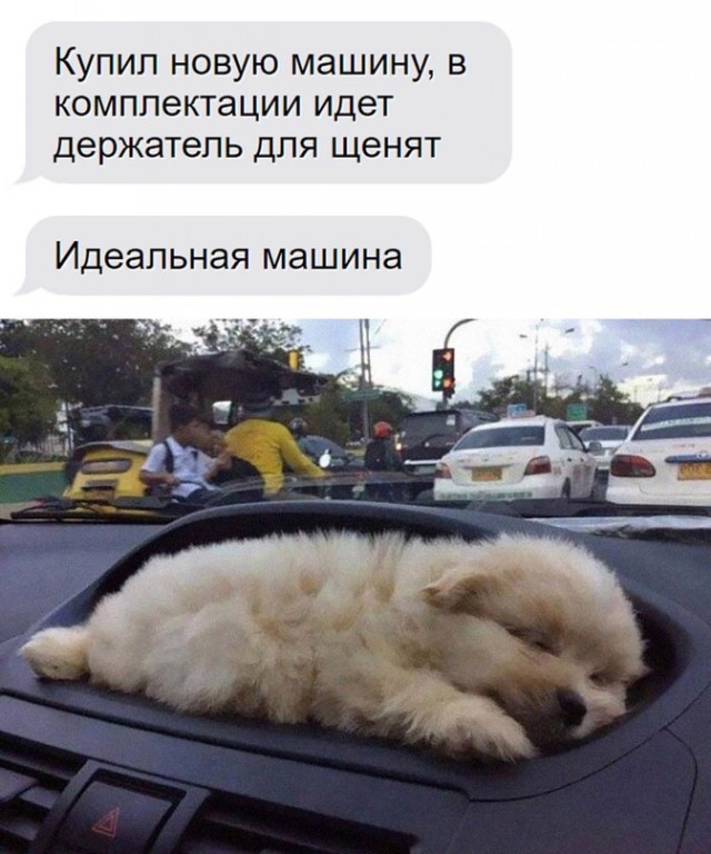 Картинки и мемы для настроения. Выходные рядышком...