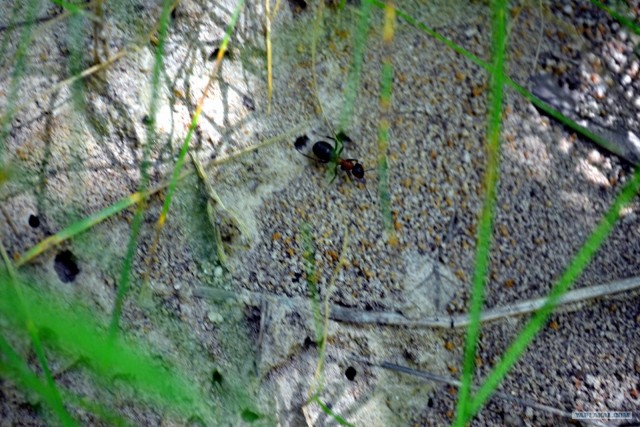 Отдых по-русски.