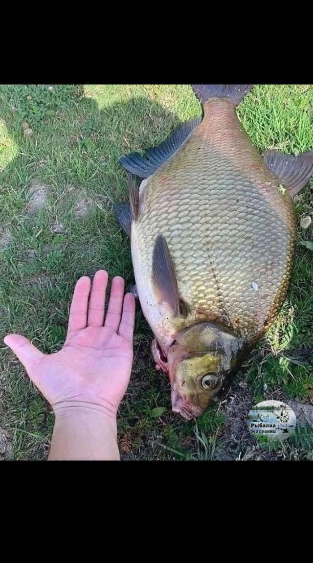 Друг поймал вчера