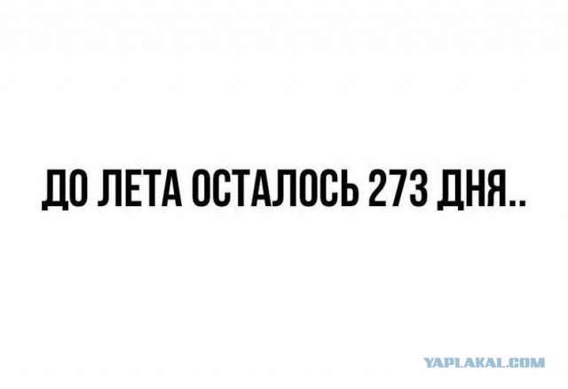 Картинки и мемы, всем хороших выходных