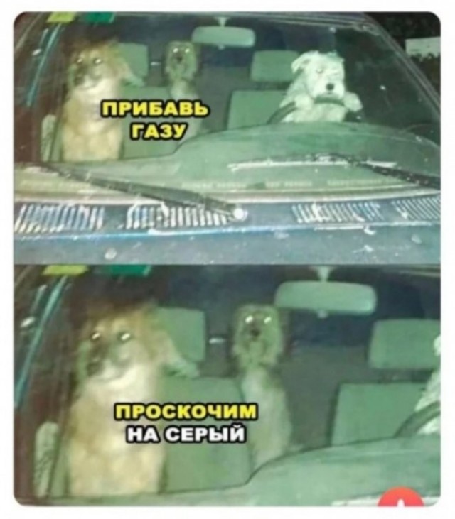 До слёз…