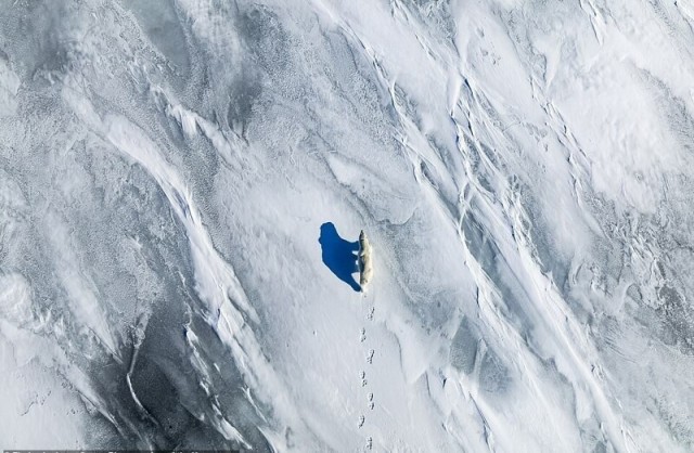 Победители фотоконкурса Ocean Photographer of the Year 2022