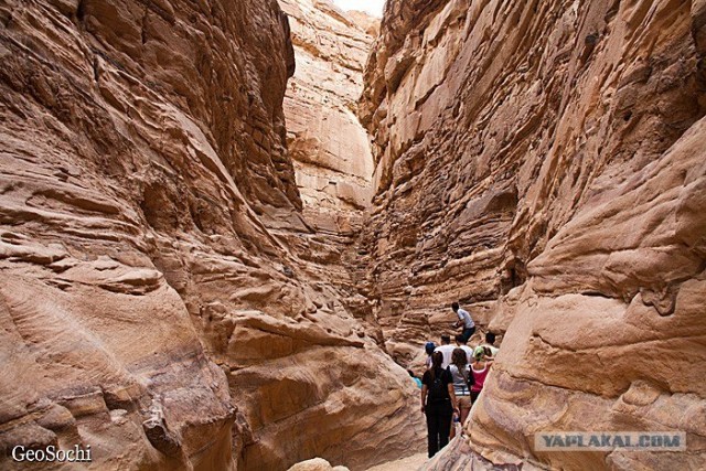 Синайские приключения. Шарм-эш-Шейх и окресности