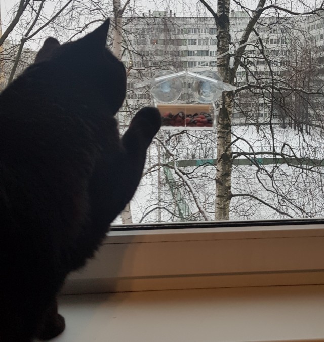 Нам полтора месяца