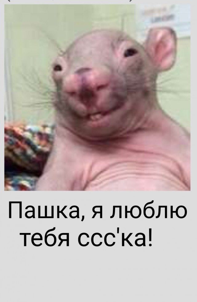 Друзья! хочу в вашей памяти остаться вот таким.. с этой песней