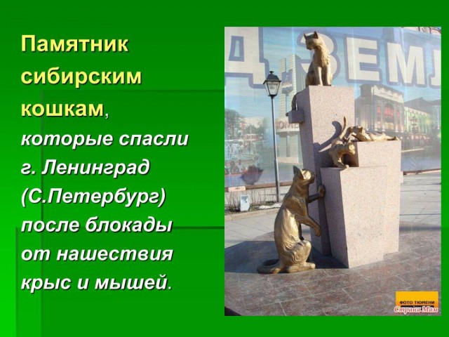 Победная поступь идиотизма по планете – том 14