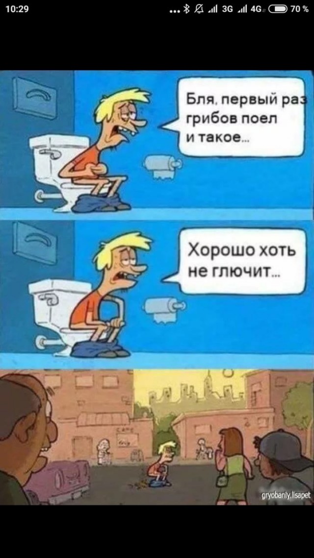Как не огрести от грибов