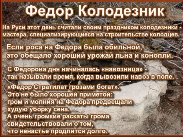 Победная поступь идиотизма по планете – том 17