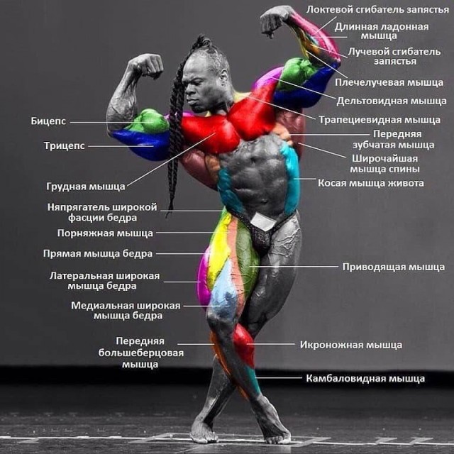 Рязань - Сасово из кабины машиниста