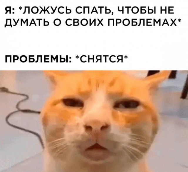 Юмор в картинках и без