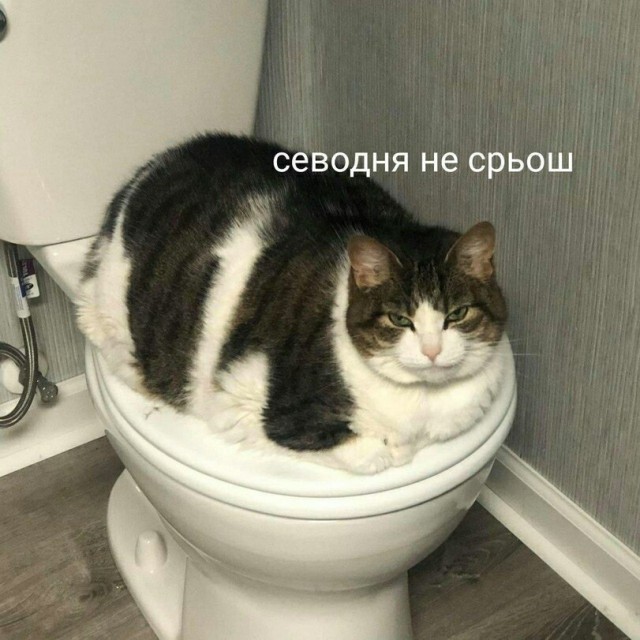 Умыться нереально
