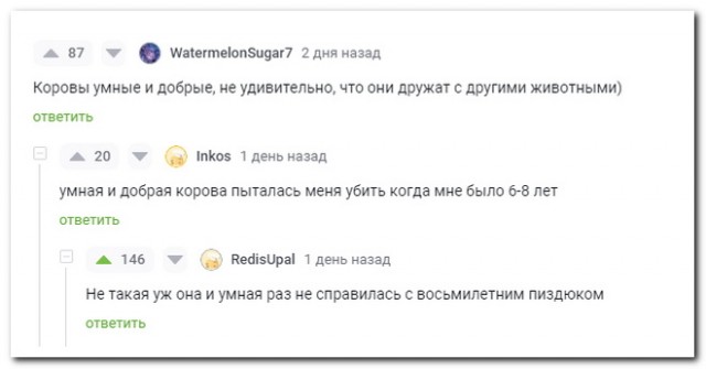 Забавные комментарии из социальных сетей 29.04.24