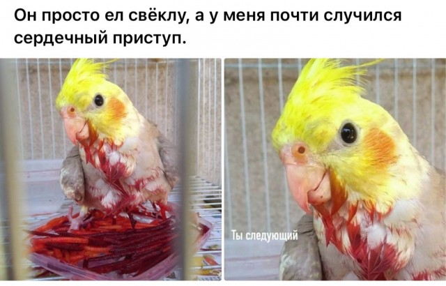 Завалялось тут случайно немного забавных картинок
