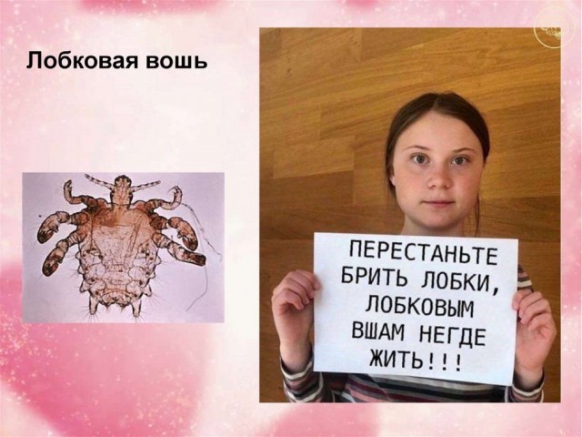 Мохноп**дая Варвара